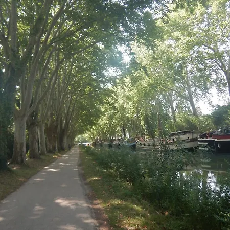 T3 Atypique Au Rez De Chaussee Ramonville-Saint-Agne